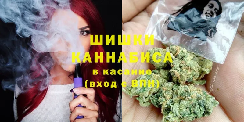 хочу наркоту  Сосновка  Конопля White Widow 